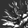 RandomCloner