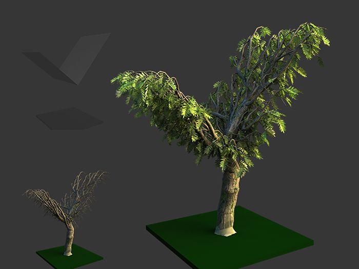 tree06_V.jpg